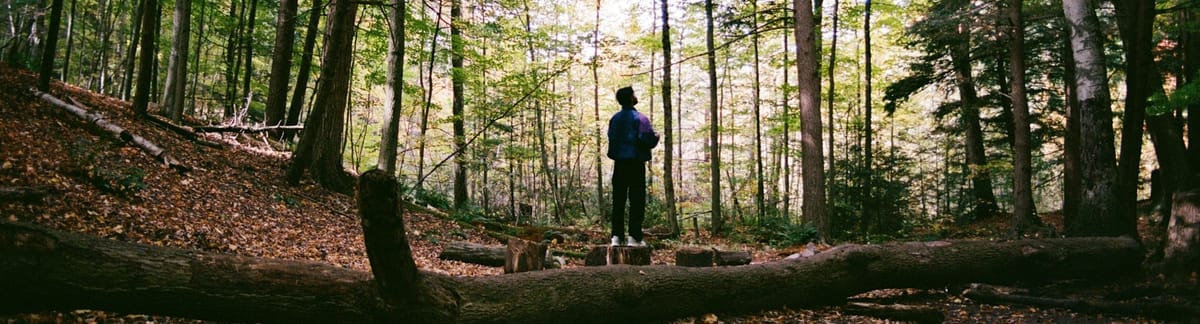 Architecture Overview